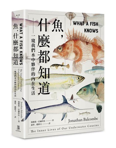 圖中有幾條魚|《魚，什麼都知道》：魚也懂少數服從多數的「民主」？ 